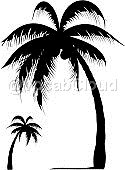 palm tree Image